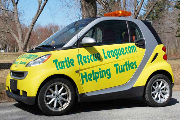 Yellow tiny car that says Turtle Rescue League.com - Helping Turtles on it