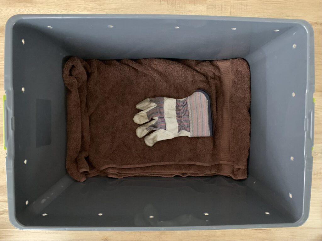 gloves and a towel in a plastic tote bin sized for snapping turtles