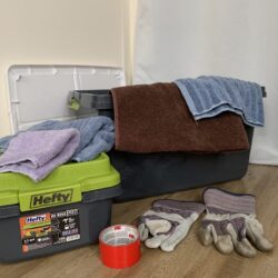 How to Transport Injured Turtles – Your Car Kit