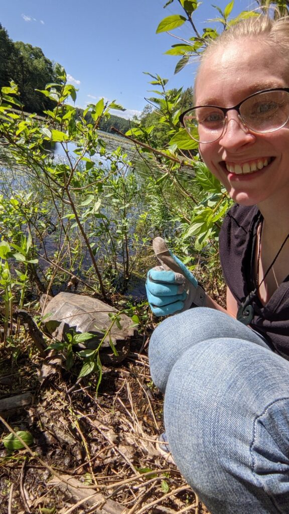 Michaela Conder, Clinician and Media Coordinator at Turtle Rescue League, gives the camera a thumbs up, as a snapping turtle she just released walks into the water in a swamp.