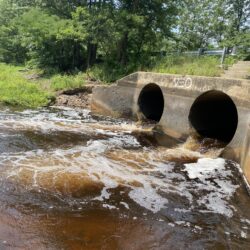 An Open Letter to Mayor Sarno of Springfield, Massachusetts