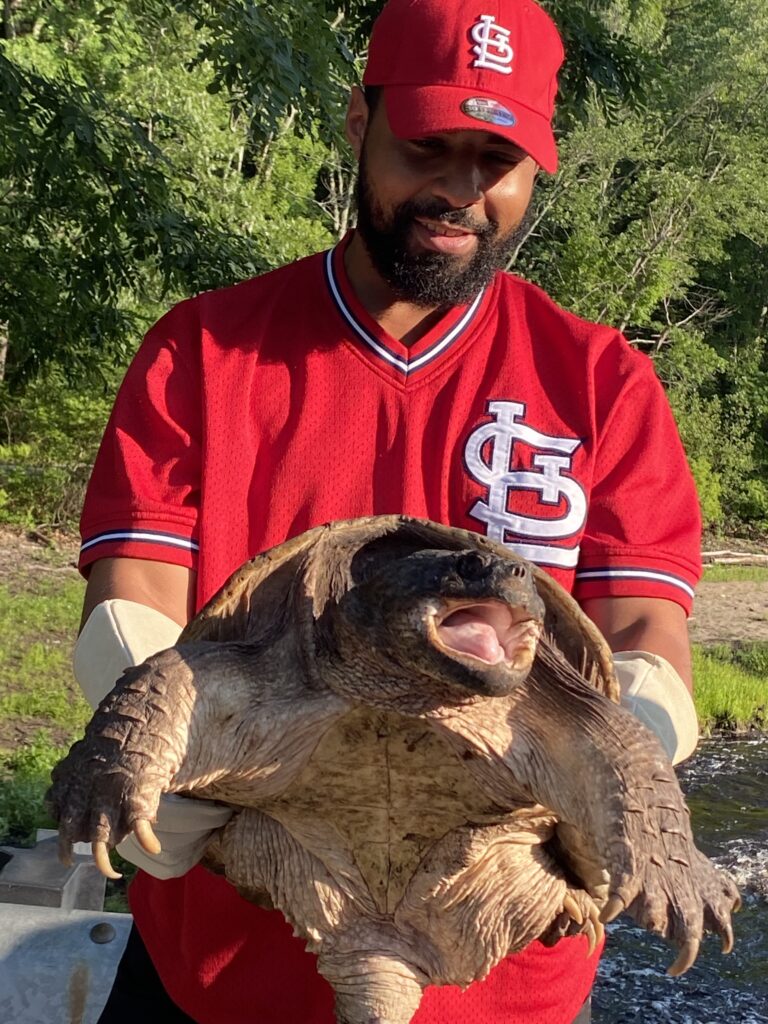 Stefan, a resident of Springfield, MA holds a large snapping turtle up to the camera. It's mouth is wide open. Stefan has a beard and his clothes are all red. He is smiling.