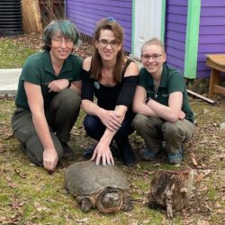 Exciting News from Turtle Rescue League President Alexxia Bell