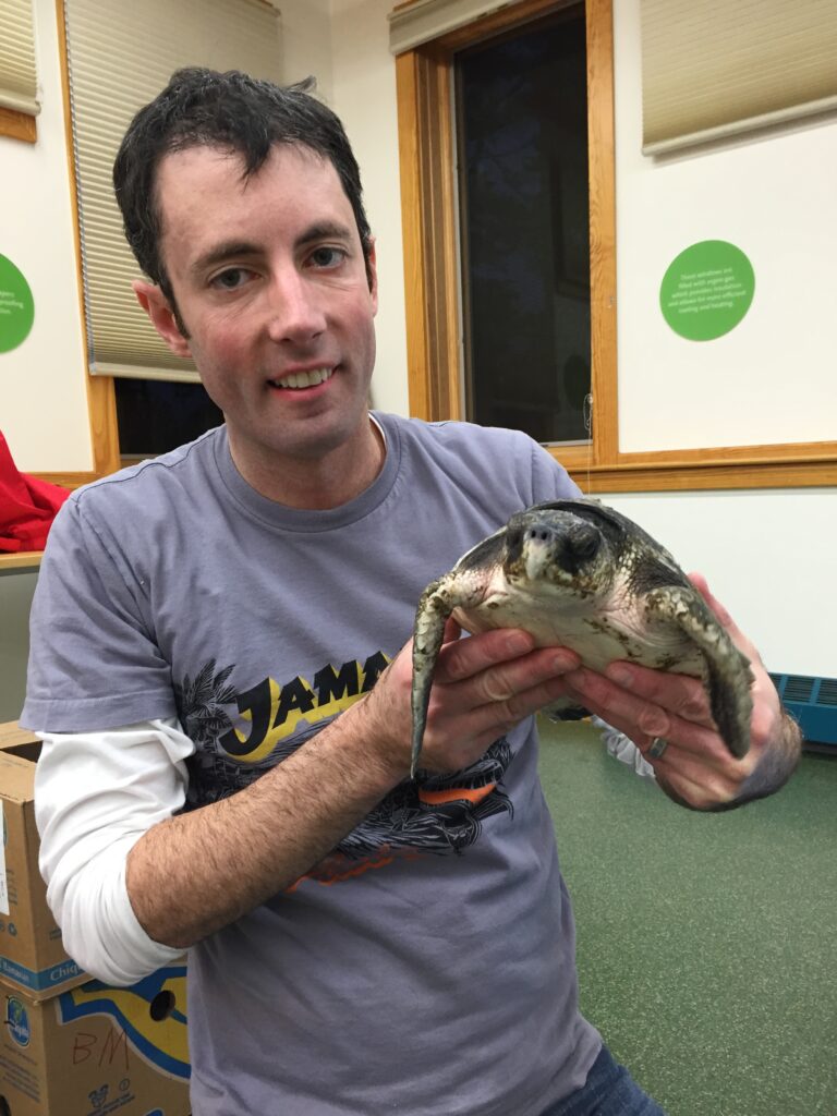 Turtle Rescue League board member Mike Webster holds a rescued Kemp's Ridley sea turtle at a rehabilitation facility.