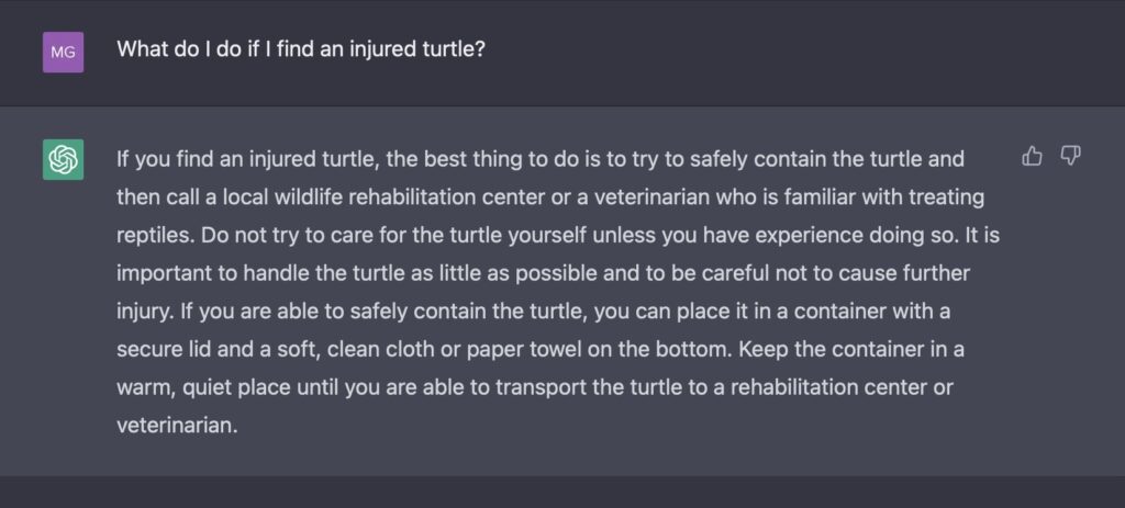 A screen shot of ChatGPT's response to the same question, "what do I do if I find an injured turtle?" This time ChatGPT replied "If you find an injured turtle, the best thing to do is to try to safely contain the turtle and then call a local wildlife rehabilitation center or a veterinarian who is familiar with treating reptiles. Do not try to care for the turtle yourself unless you have experience doing so. It is important to handle the turtle as little as possible and to be careful not to cause further injury. If you are able to safely contain the turtle, you can place it in a container with a secure lid and a soft, clean cloth or paper towel on the bottom. Keep the container in a warm, quiet place until you are able to transport the turtle to a rehabilitation center or veterinarian."