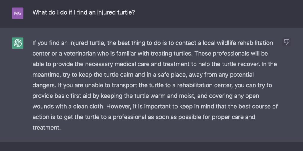 A screen shot of ChatGPT's response to the question "what do I do if I find an injured turtle?" It replies "If you find an injured turtle, the best thing to do is to contact a local wildlife rehabilitation center or a veterinarian who is familiar with treating turtles. These professionals will be able to provide the necessary medical care and treatment to help the turtle recover. In the meantime, try to keep the turtle calm and in a safe place, away from any potential dangers. If you are unable to transport the turtle to a rehabilitation center, you can try to provide basic first aid by keeping the turtle warm and moist, and covering any open wounds with a clean cloth. However, it is important to keep in mind that the best course of action is to get the turtle to a professional as soon as possible for proper care and treatment."