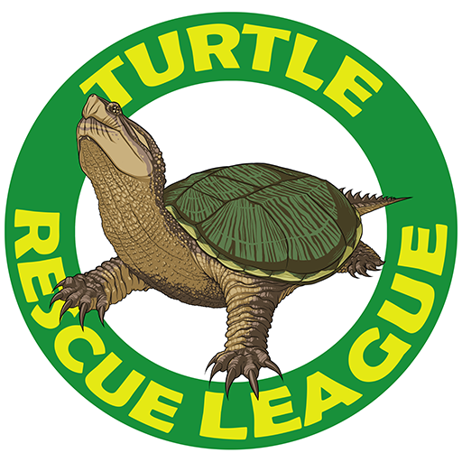 The Turtle Rescue League logo featuring a turtle with an extended neck overlaid on a green ring containing the name of the organization in yellow letters
