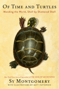 An image of the book cover for Of Time and Turtles: Mending the World, Shell by Shattered Shell, written by Sy Montgomery and illustrated by Matt Patterson. A top down view of an Eastern Painted turtle with a crack in its shell and bandages holding it together is displayed beneath the title.