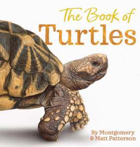 The cover image for The Book of Turtles, by Sy Montgomery and Matt Patterson. A very realistic painting of a radiated tortoise is under the title.
