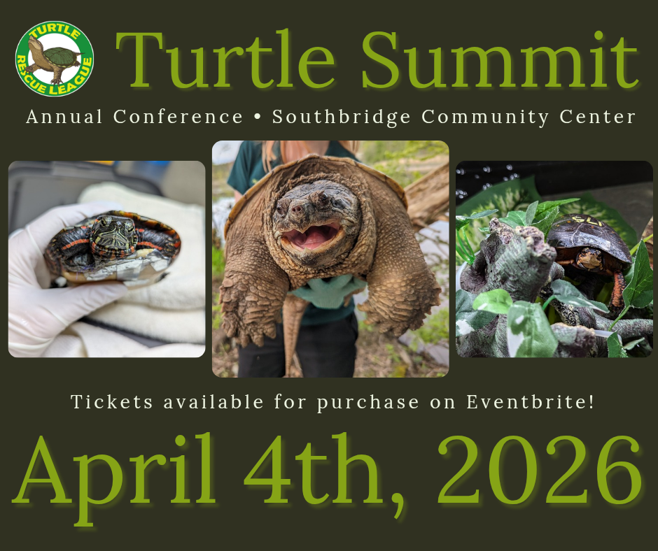 Turtle Summit Annual Conference April 4th, 2026 Southbridge Community Center. Tickets available for purchase on Eventbrite.